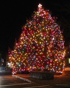 Rockport Christmas tree