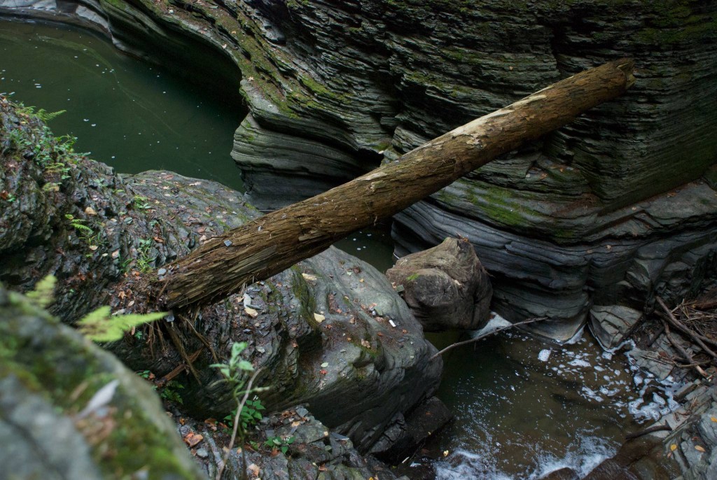 Log caught in the gorge