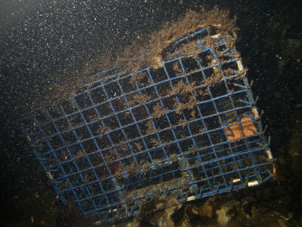 Abandoned lobster trap