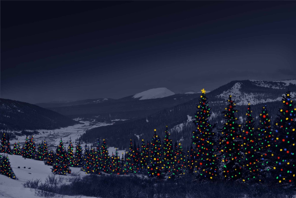 Lights on foreground trees