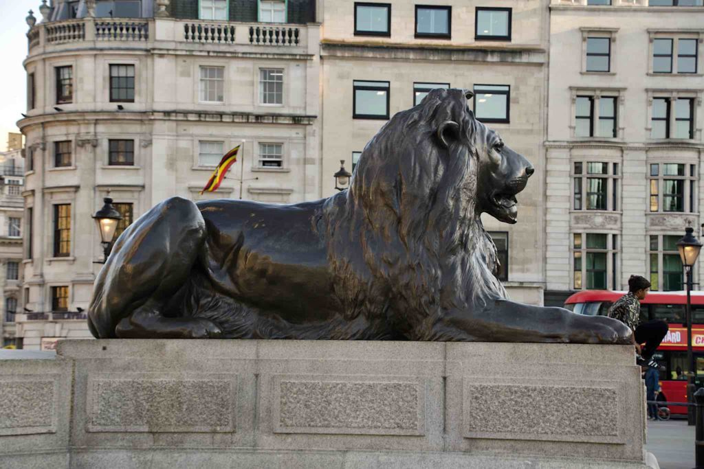 Lion in Trafalgar Square