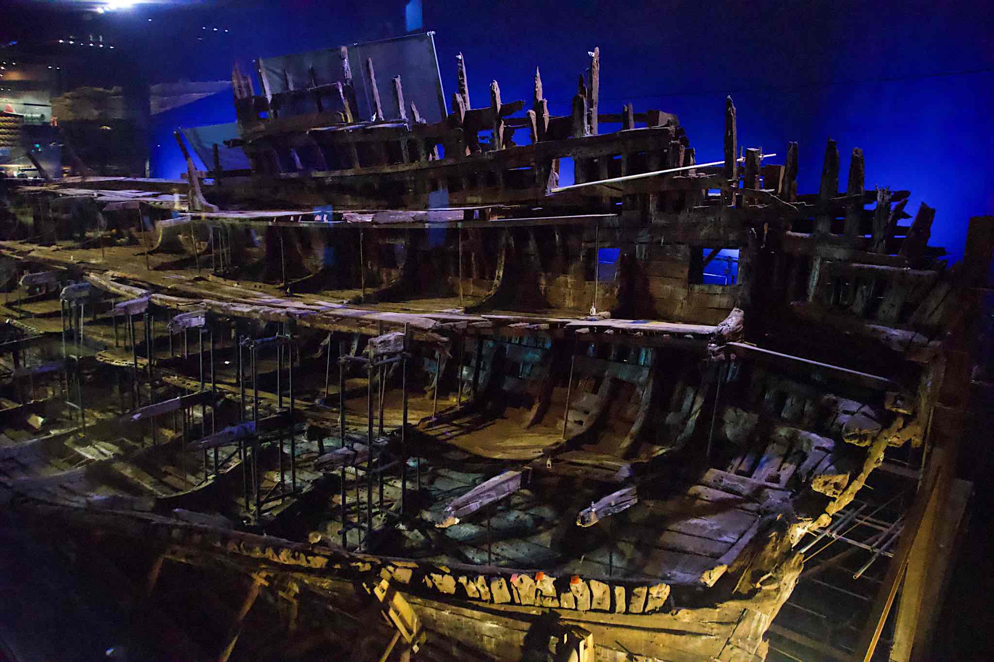 Wreck of the Mary Rose