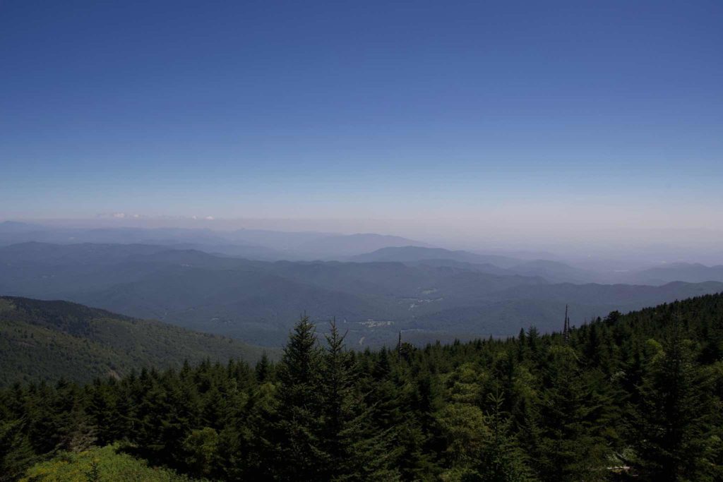View from Mount Mitchell