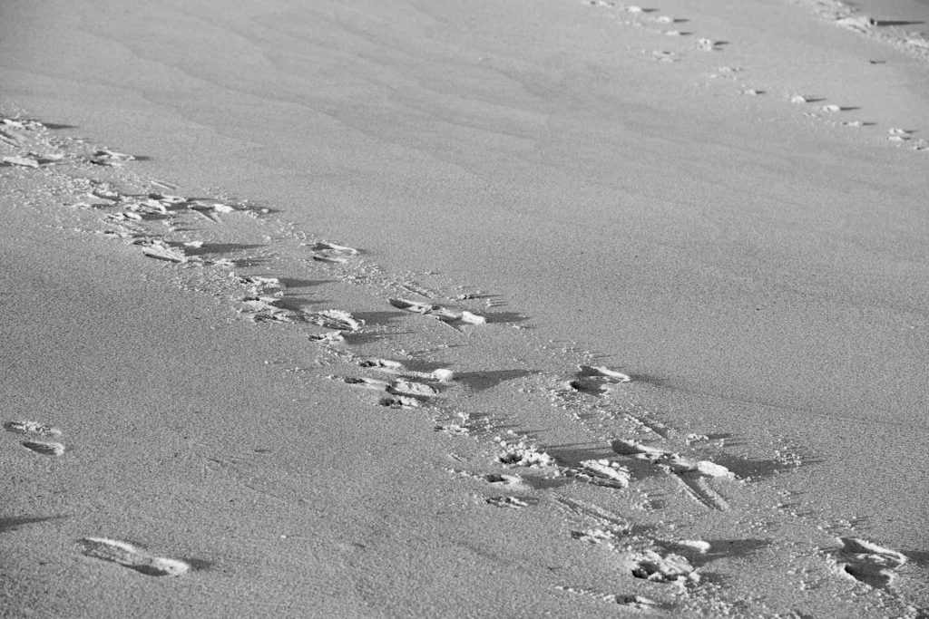 Sand steps