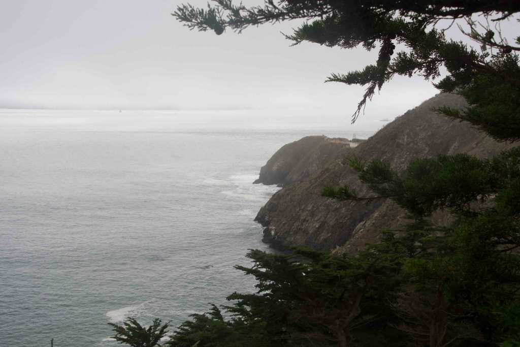 Trees, fog, cliffs, and waves