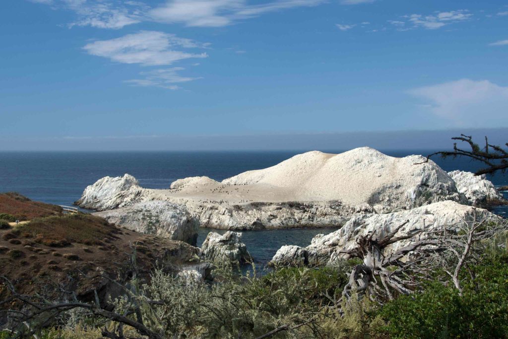 Whitish cliffs