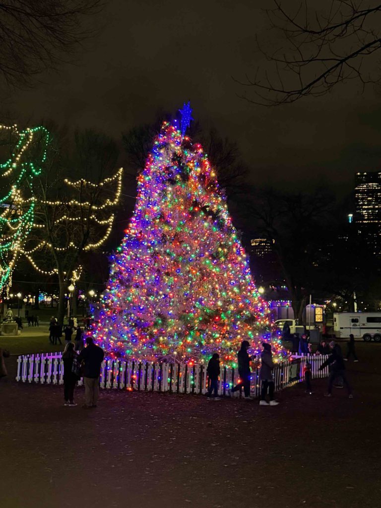 The 2024 Boston Christmas tree.