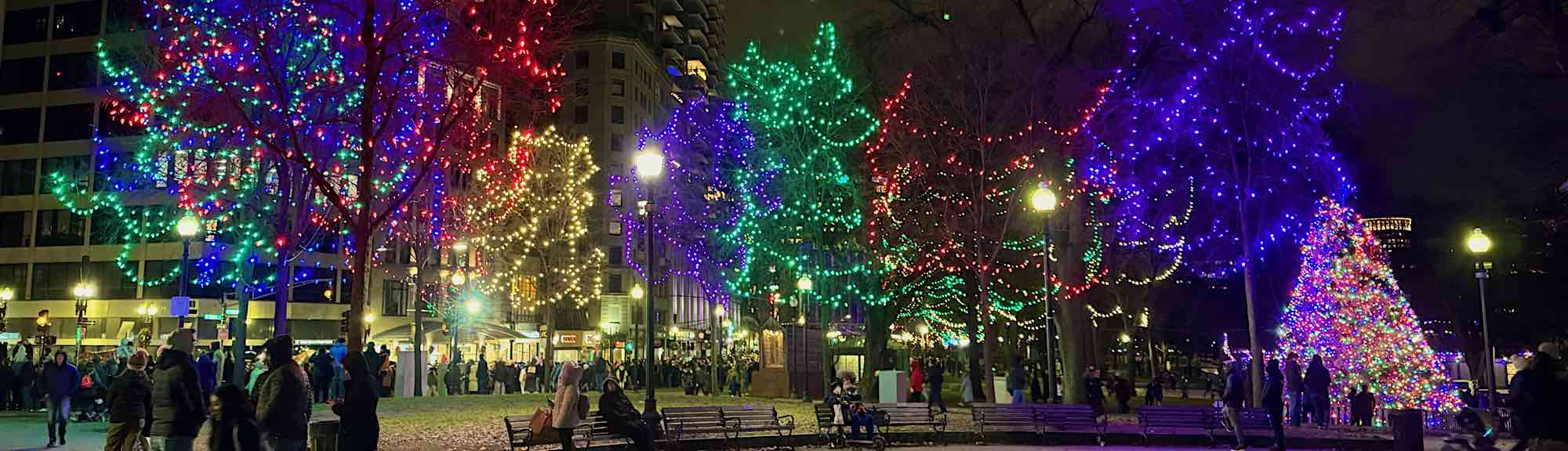 Christmas lights on the Common