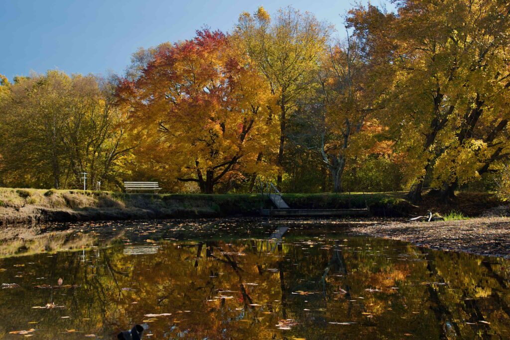 The first bend in the river