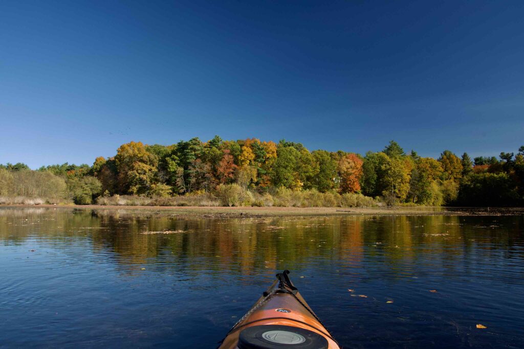 The far side of Motley Pond