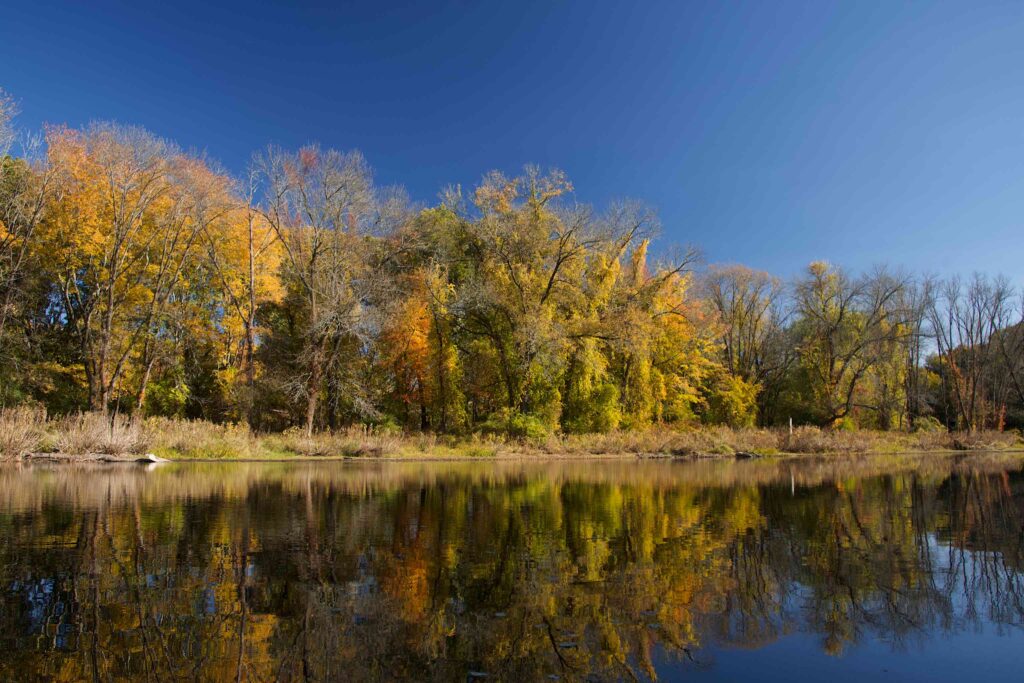 Golden trees from the passage beyond Motley Pond