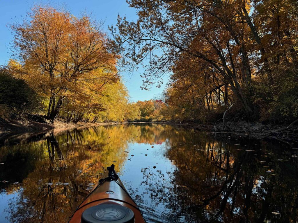 Foliage along the Charles