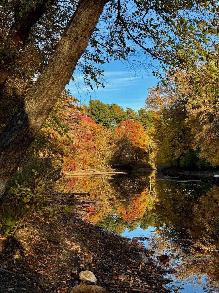 Fall foliage lit by the setting sun, seen from the put in