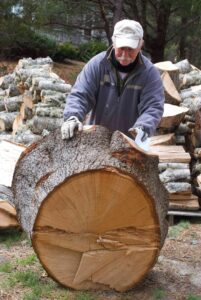 Tom with oak stump