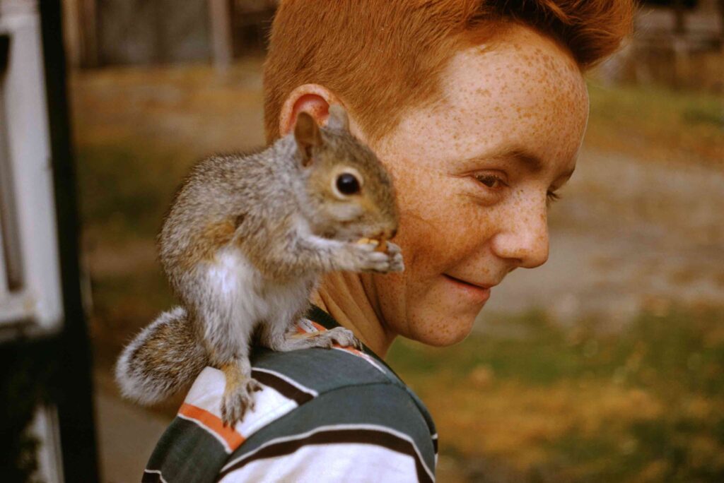 Tom and squirrel