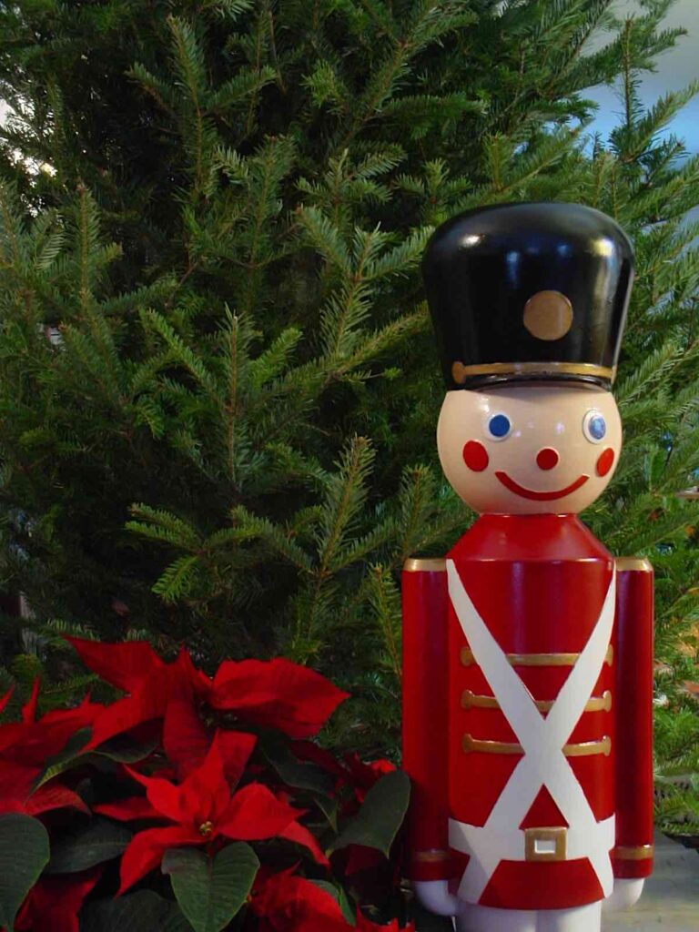 Single toy soldier in front of undecorated tree