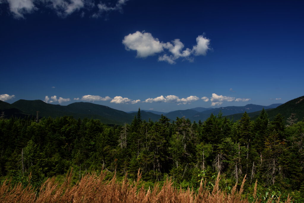 Line of clouds above the trees, from Kancamancus outlook