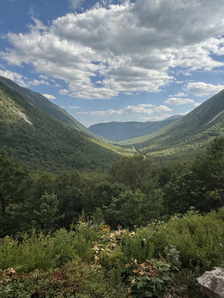 Looking back into the Notch