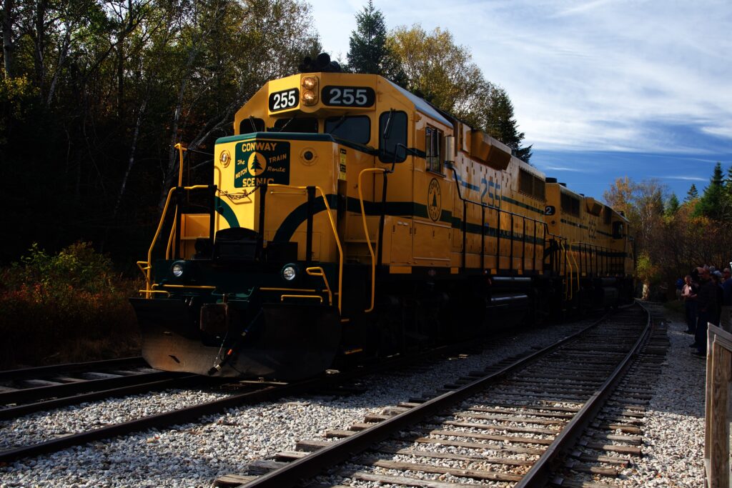 Our locomotive, on the siding track