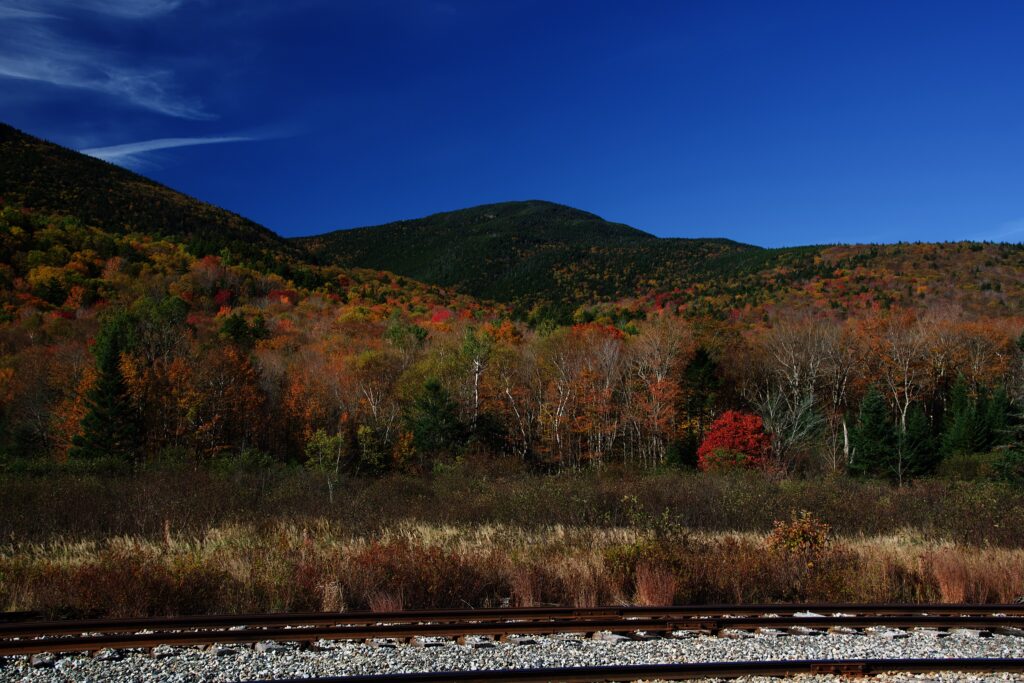 Friday morning, fall foliage at Crawford Notch