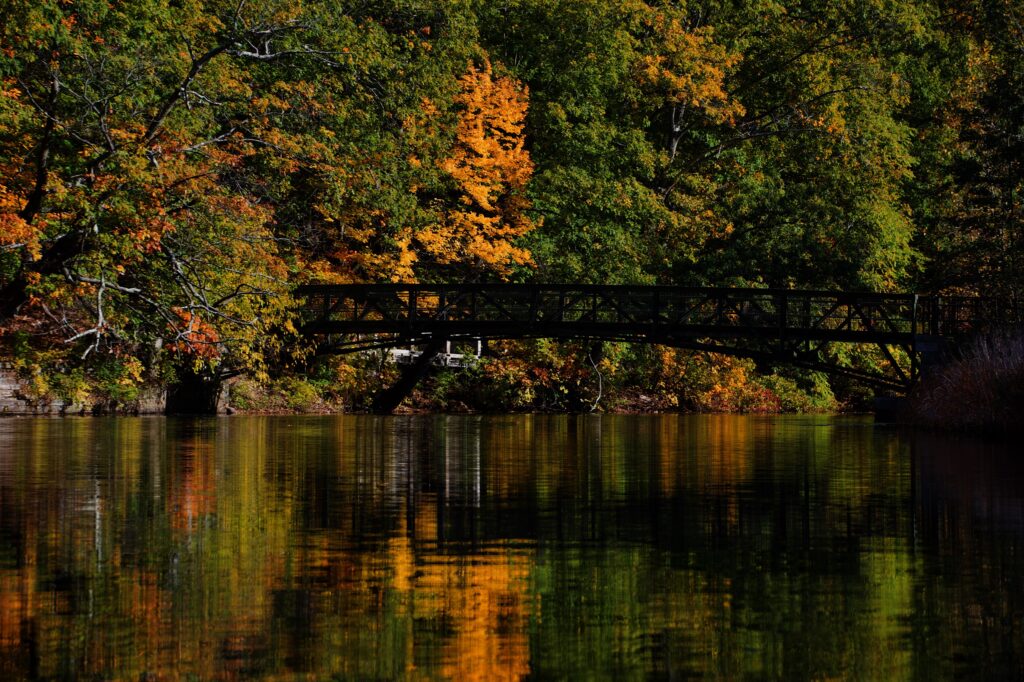 The Pony Truss Bridge