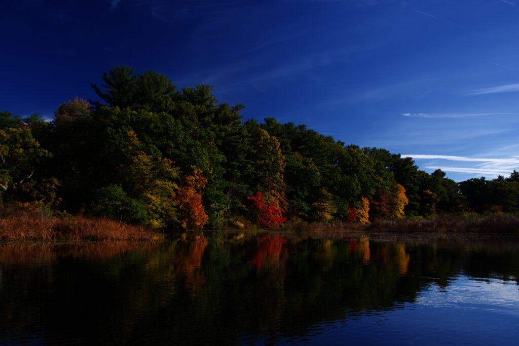 Approaching the Leo Martin