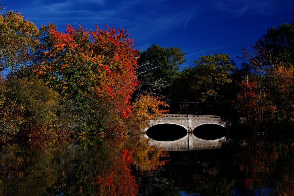 The Park Avenue Bridge in Weston, seen from upstream