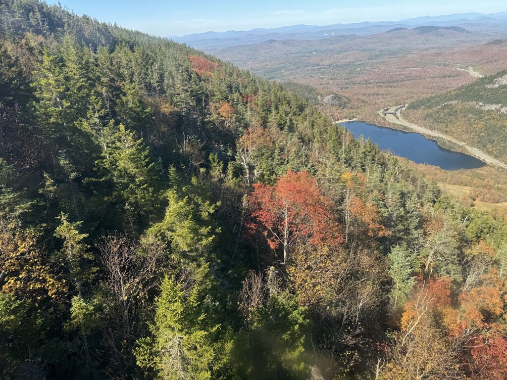 Fall foliage on the way down