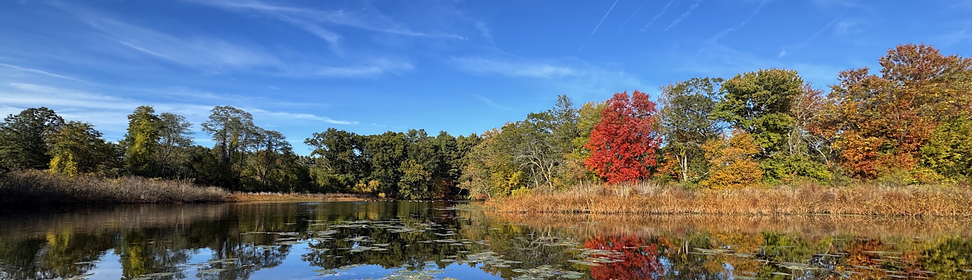 Paddling back along the Charles