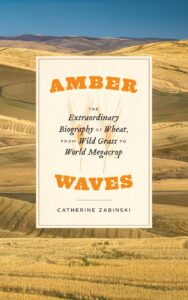 Book cover of Amber Waves, the Extraordinary Biography of Wheat From Wild Grass to World Megacrop