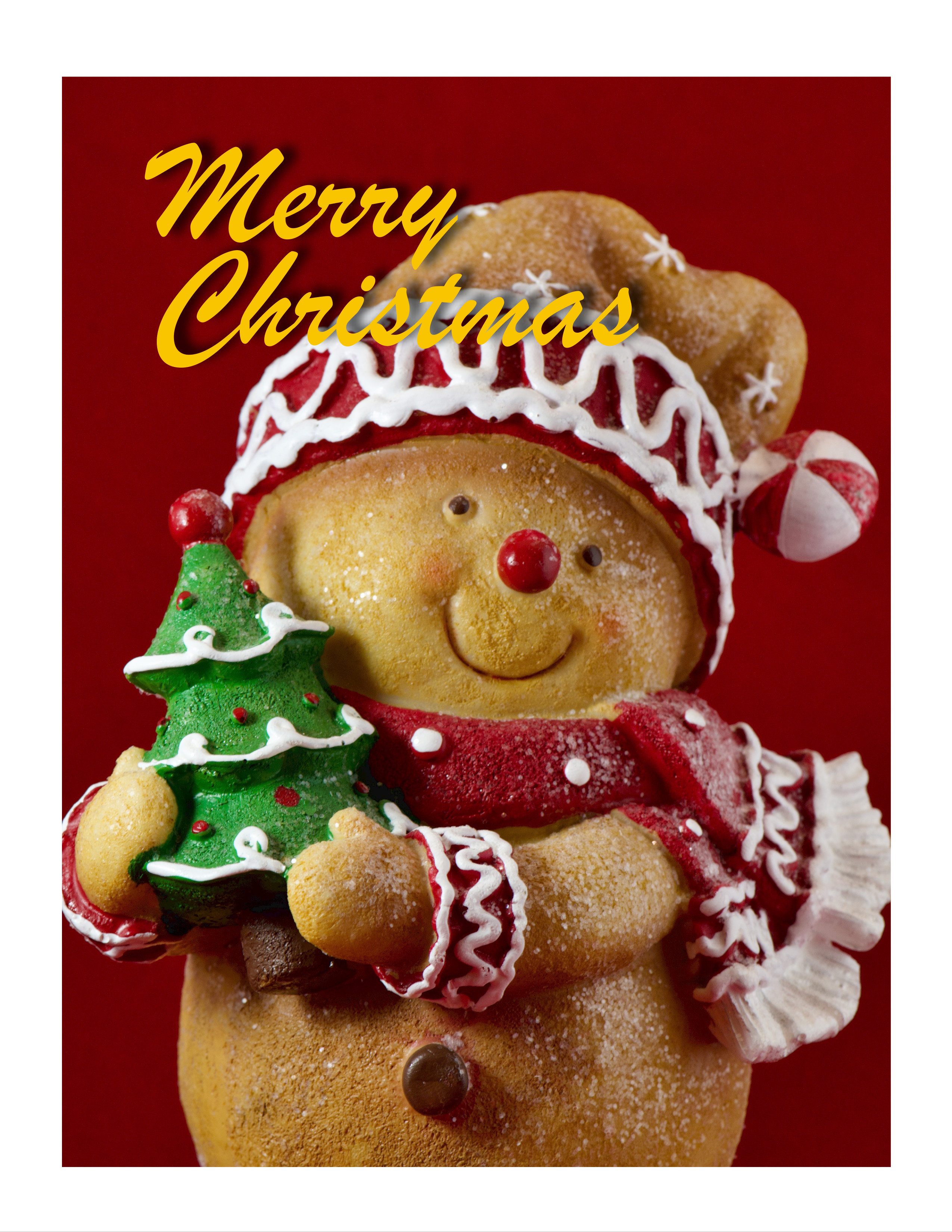 Merry Christmas - Picture of a ceramic teddy bear holding a Christmas Tree