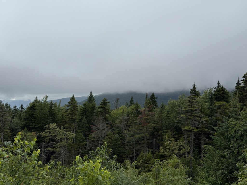 Clouds over the mountains in the distance, trees in the foreground