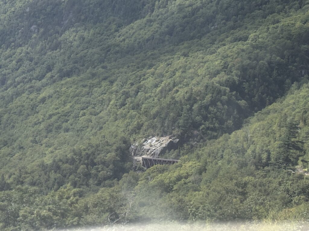 Frankenstein Trestle in the distance