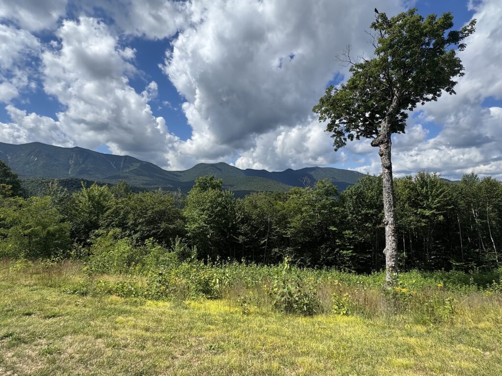 View on Wednesday from the Kancamancus