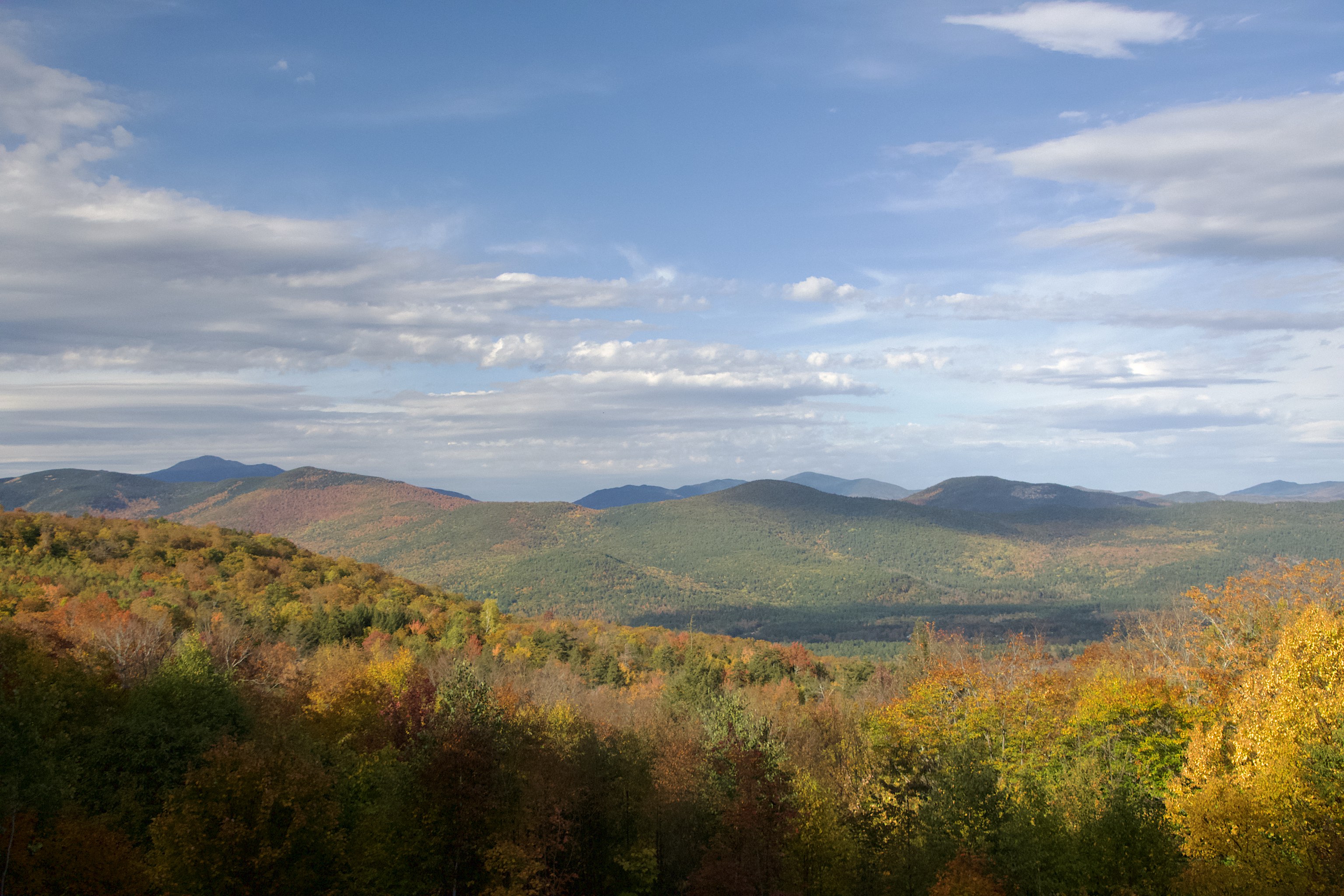 Mountains and clouds, and nearer foliage.