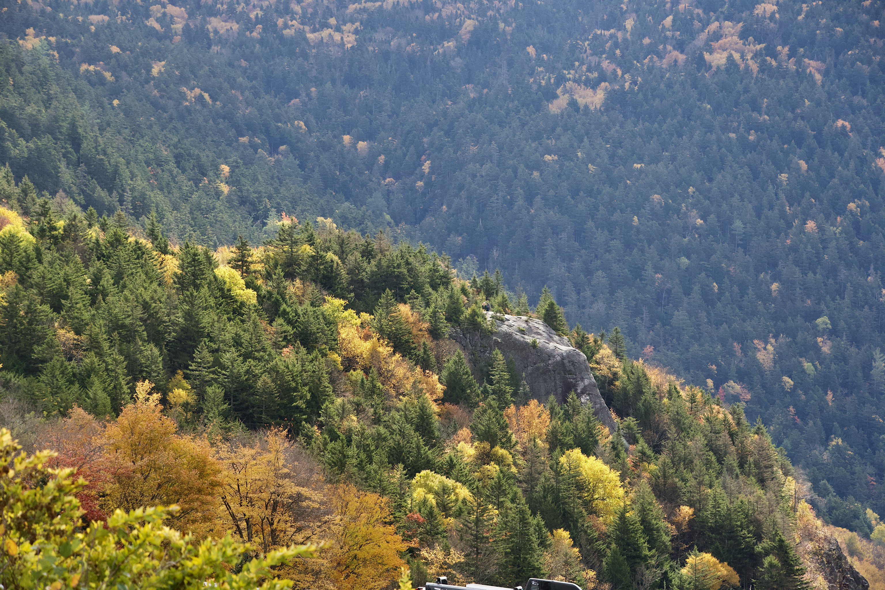 Rock outcropping and foliage