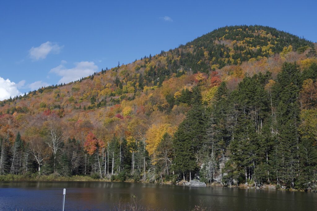 Mountainside at Crawford Notch