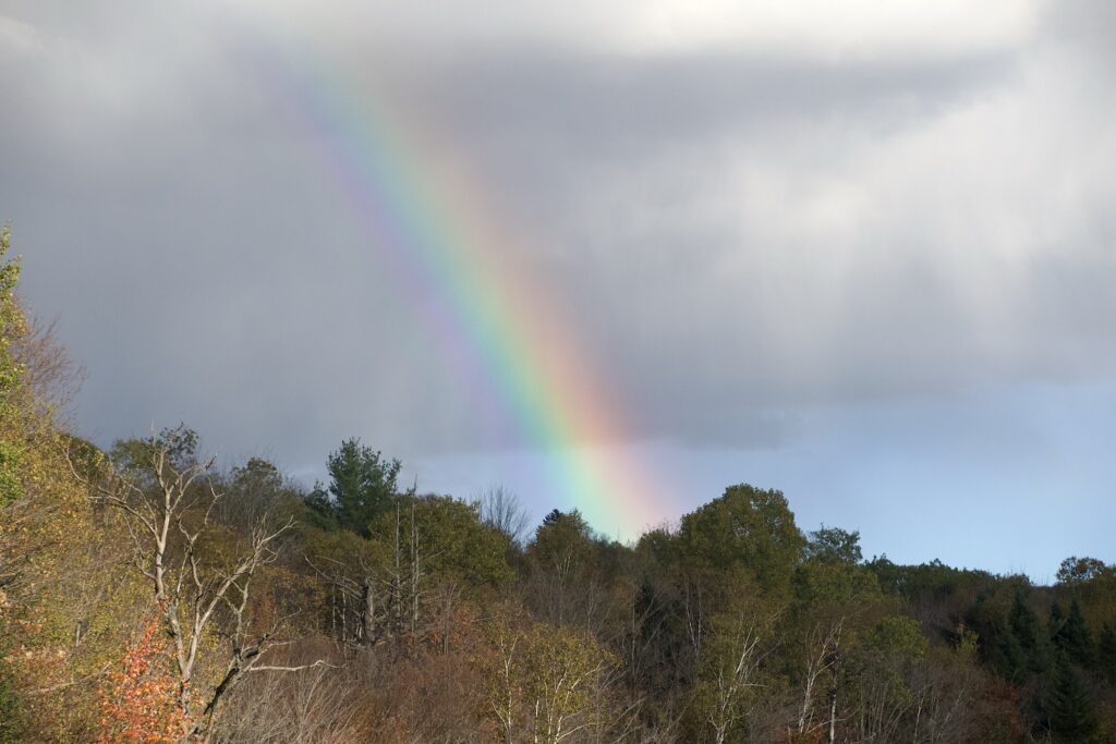Rainbow