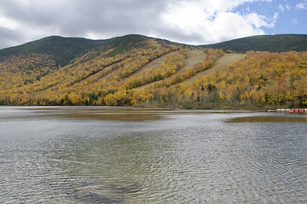View from Profile Lake