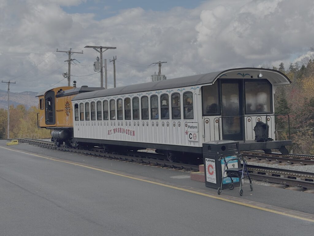 Cog locomotive and carriage