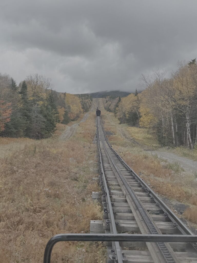 Climbing through the forest zone